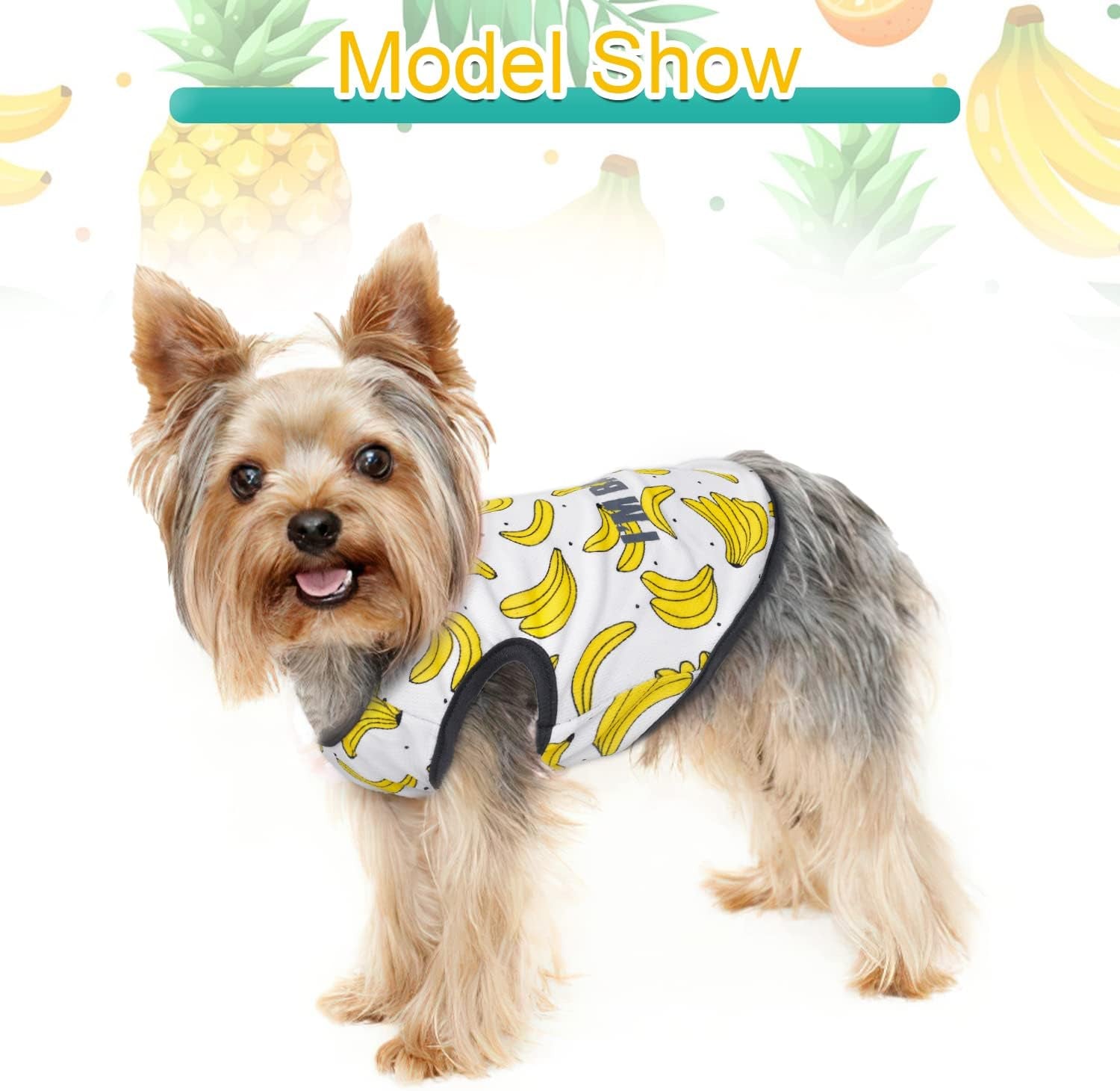 Set of 2 Dog Clothes for Small Dog Boy Girl Summer Pet Puppy Hawaiian Shirt for Chihuahua Yorkie Cute Fruit Banana Pineapple Patterns Tshirts Outfits (Medium, Banana + Pineapple)