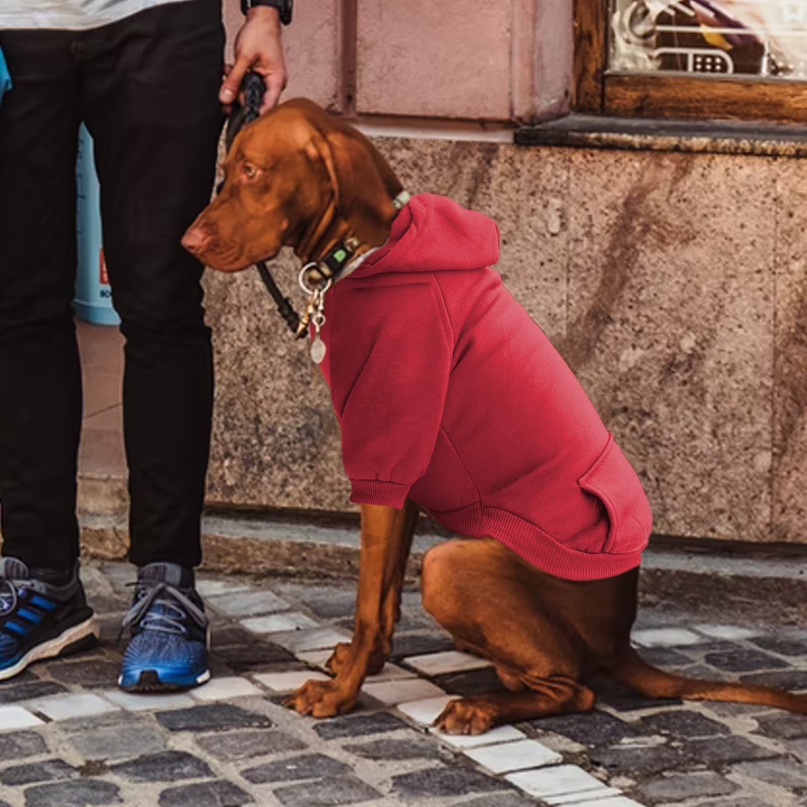 Dog Sweaters for Small Dogs, Dog Hoodie with Pocket - Fall Winter Warm Sweater Puppy Clothes for Small Medium Dogs Boy Girl Dog Clothes Red