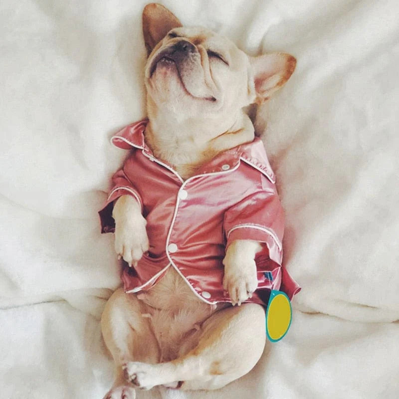 Luxury Soft Silk Pet Dog Pajamas