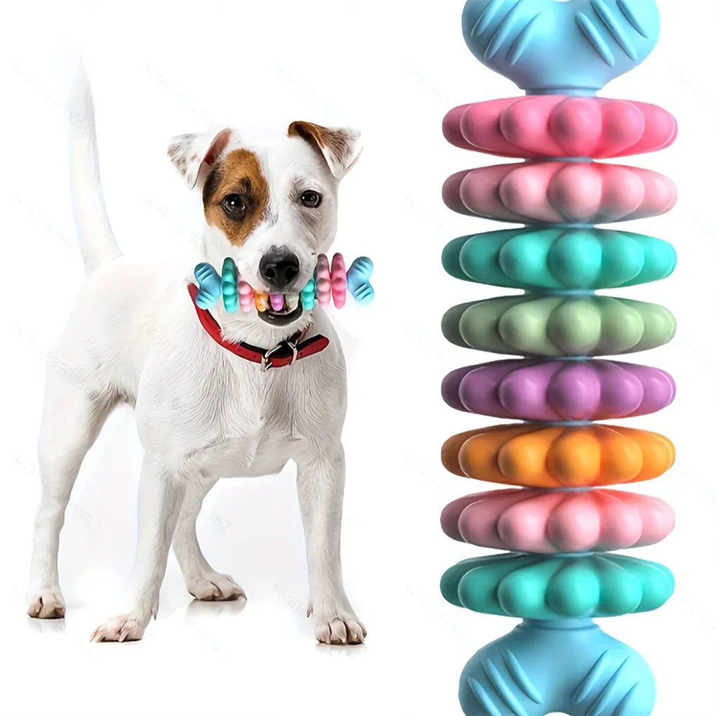 Pet Toys Dog Chew Meaty Bone Toys TPR Bone Type Multi-Meat Pieces Bite Bite Resistant Teeth Toy Set Dog Bone Toy Supplies
