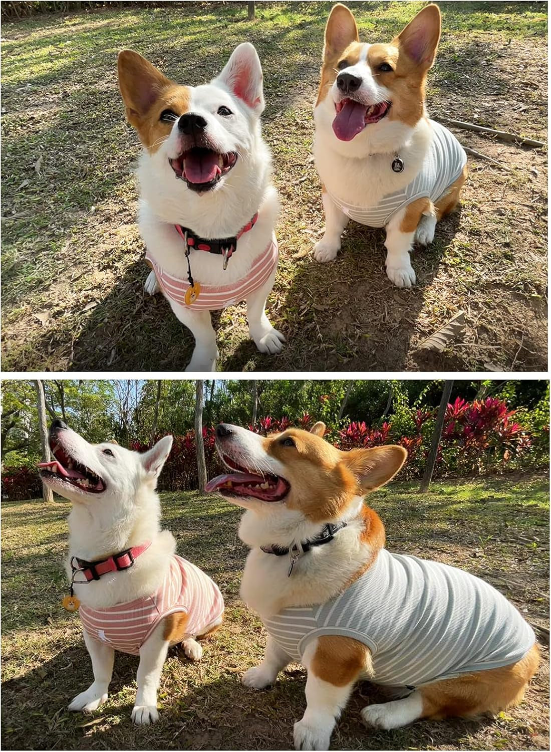 Dog Shirt Vest Lightweight Stretchy Dog T-Shirts Soft Cool Shirts Sleeveless Stripe Vests Breathable Clothes for Puppy Kitty Cats Small Medium Large Dogs 2 Pack Pink + Green [ 5XL ]
