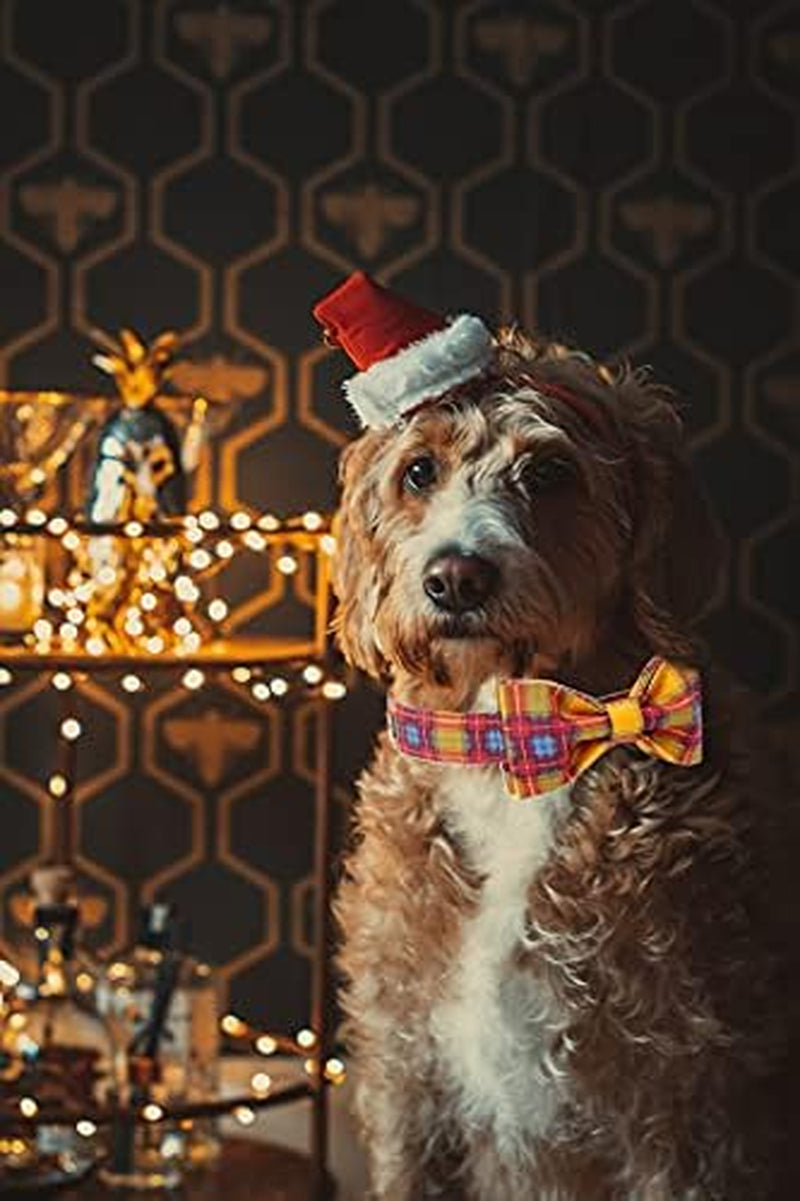 Fall Dog Collars, Soft Bowtie Dog Collar, Puppy Collar Adjustable Heavy Duty Dog Collar with Bow for Medium Dogs
