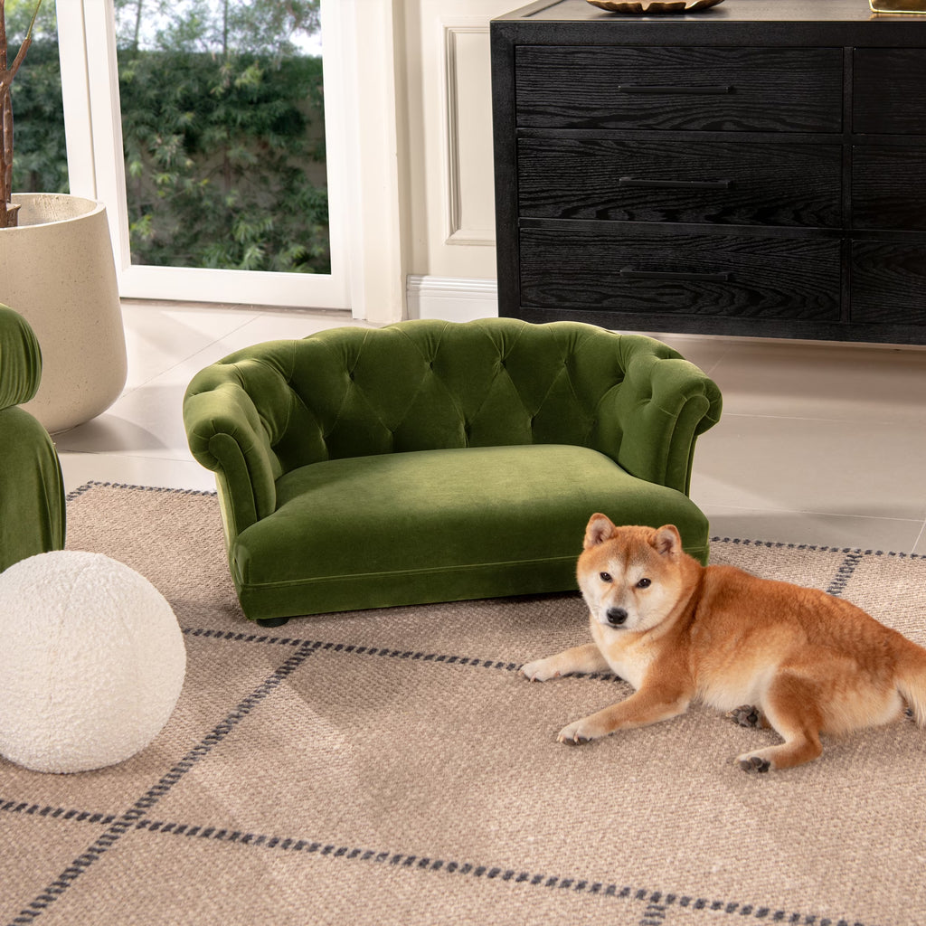 Dog Bed Kiki 36.5" Chesterfield Dog Sofa Bed, Medium, Olive Green Performance Velvet,Orthopedic Dog Bed