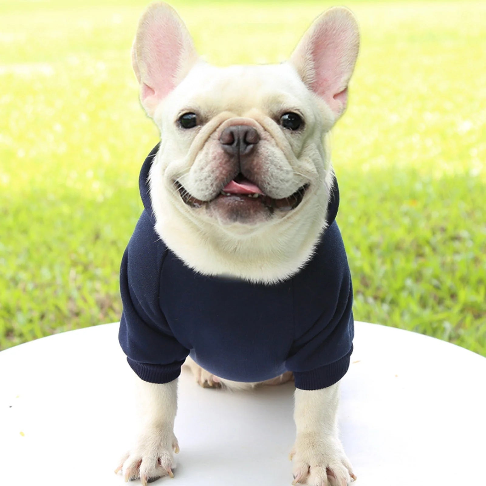 Dog Sweater Dog Hoodie with Pocket - Fall Winter Warm Sweater Puppy Clothes for Small Medium Dogs Boy Girl Dog Clothes Navy
