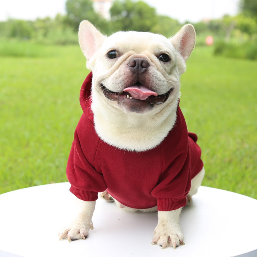 Dog Sweaters for Small Dogs, Dog Hoodie with Pocket - Fall Winter Warm Sweater Puppy Clothes for Small Medium Dogs Boy Girl Dog Clothes Red