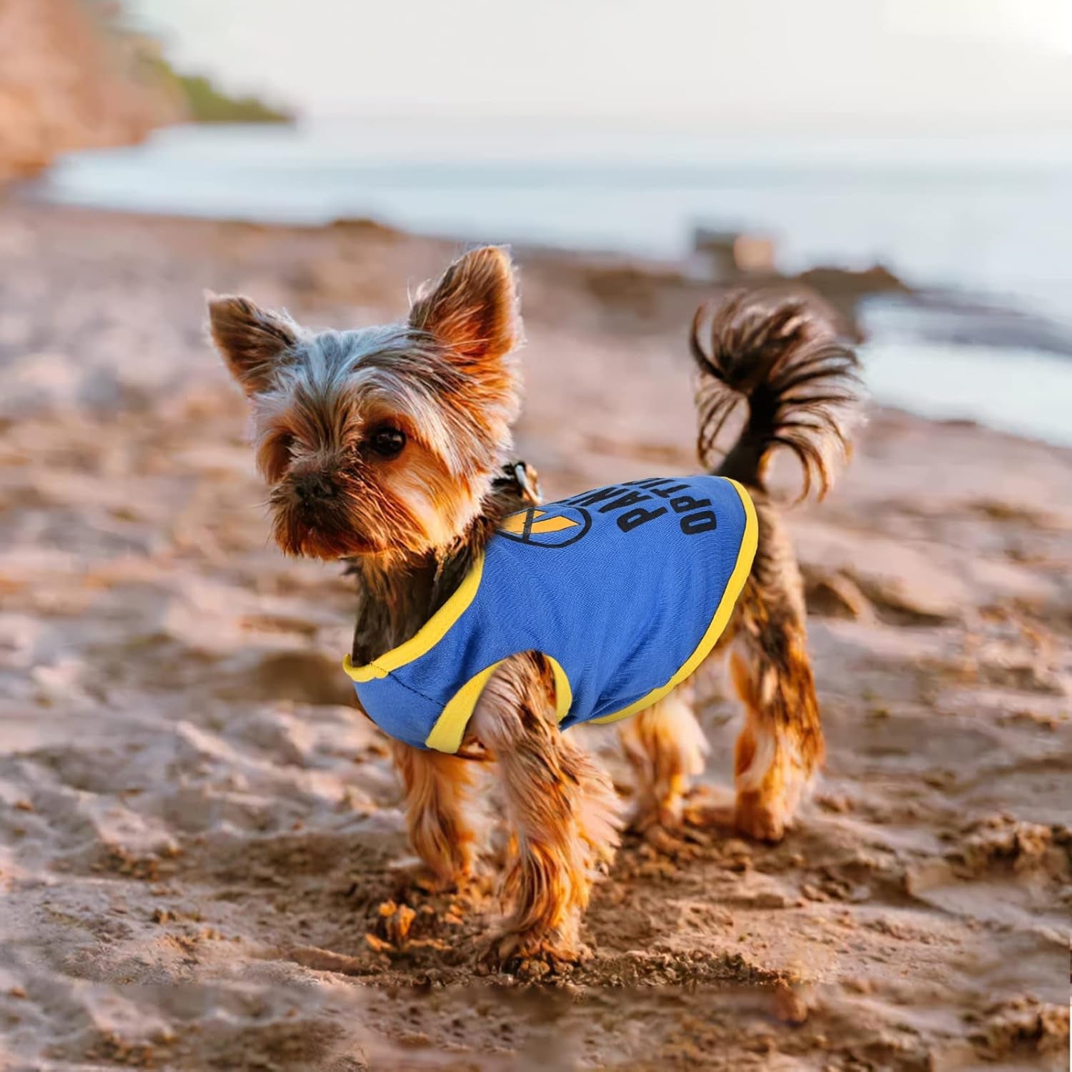 Pet Dog Clothes for Small Dogs Girl Boy 3 Piece Puppy Shirt Male Female Outfits  Cat Clothing Apparel for Teacup Rench Bulldog Yorkie Breed (S)