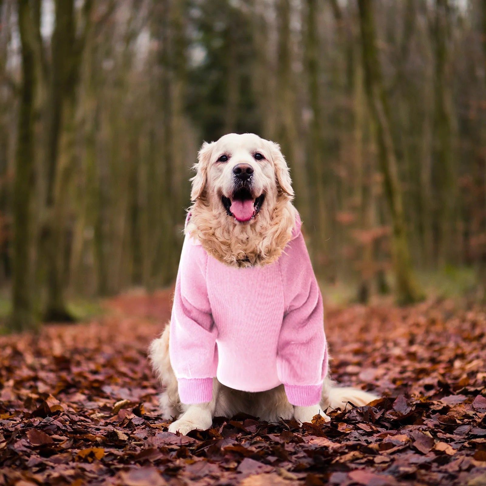 Pet Supplies Dog Hoodie with Pocket - Fall Winter Warm Sweater Puppy Clothes for Small Medium Dogs Boy Girl Pink