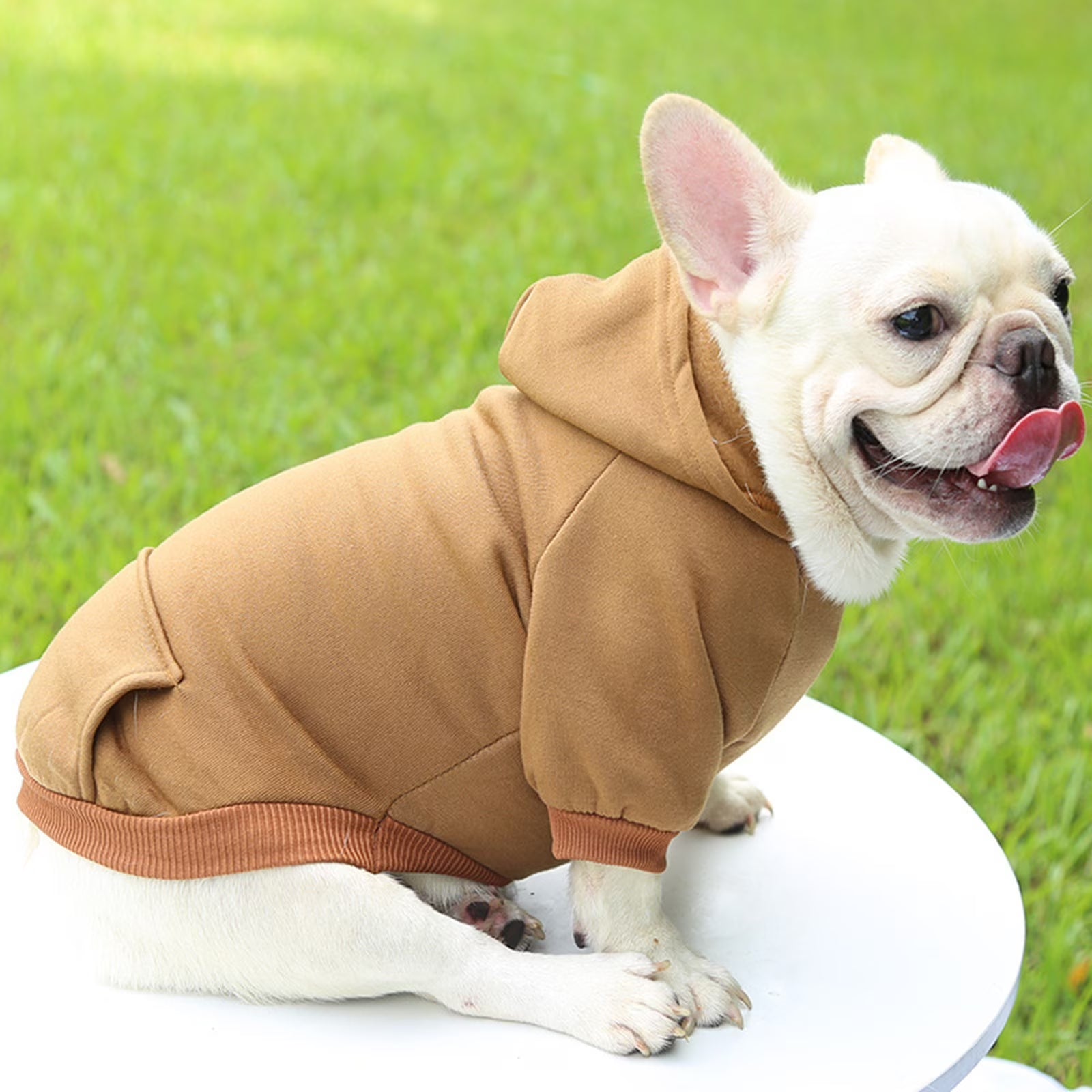 Dog Sweaters for Small Dogs, Dog Hoodie with Pocket - Fall Winter Warm Sweater Puppy Clothes for Small Medium Dogs Boy Girl Dog Clothes Brown