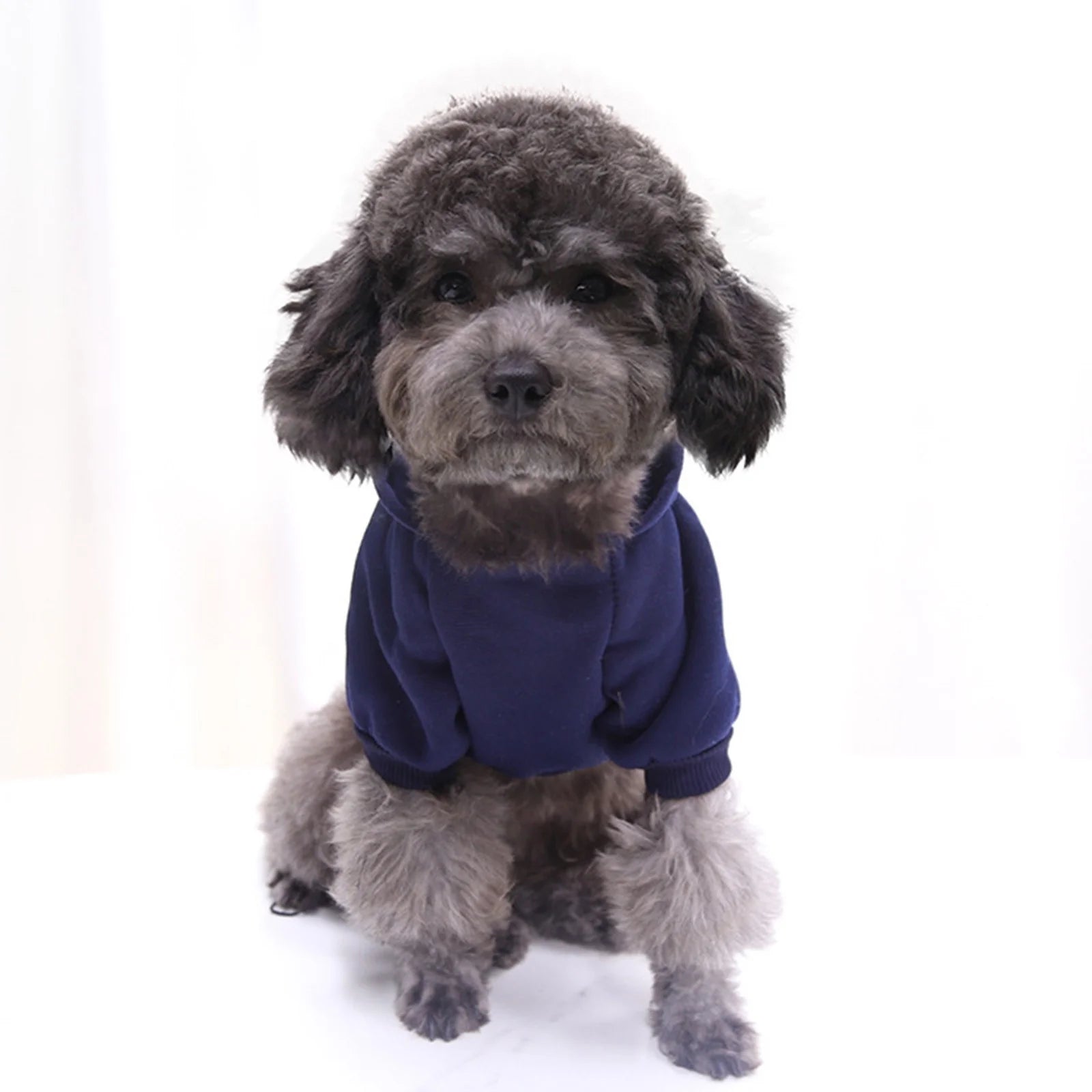 Dog Sweater Dog Hoodie with Pocket - Fall Winter Warm Sweater Puppy Clothes for Small Medium Dogs Boy Girl Dog Clothes Navy