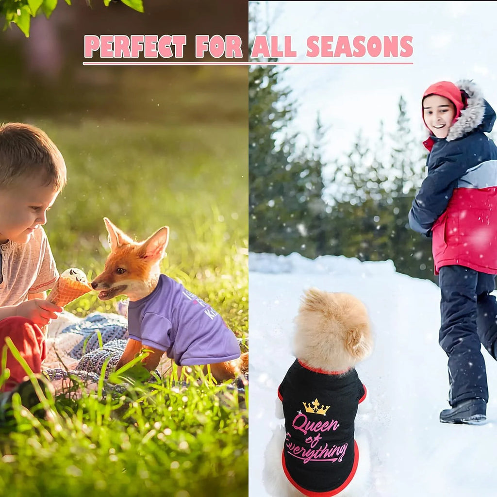6 Pack Dog Clothes for Small Dogs Boy and Girl, Soft and Breathable Puppy Kitten Dog Shirts with Letters for Pet Dogs Cats,Dog T-Shirts Apparel Sleeveless Vests for Chihuahua Yorkies